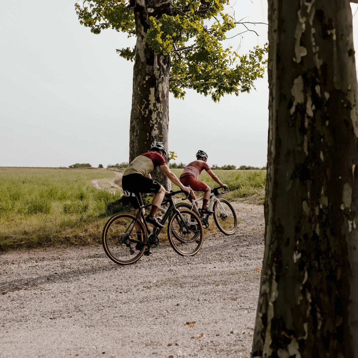 Gravel Fever 2024 - 80km